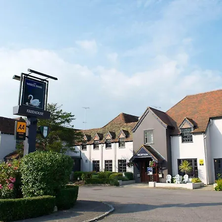 The White Swan-3